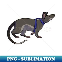Hero Rat - Decorative Sublimation PNG File - Perfect for Sublimation Mastery