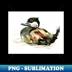 Ruddy Duck - Stylish Sublimation Digital Download - Stunning Sublimation Graphics