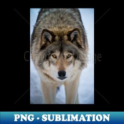 Timber Wolf - Retro PNG Sublimation Digital Download - Bold & Eye-catching