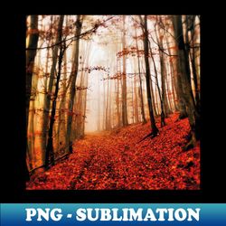 Mystical and mysterious autumn forest in the fog - graphics and design by Salogwyn Life Art - PNG Sublimation Digital Download - Add a Festive Touch to Every Day