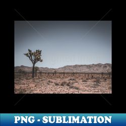 joshua tree landscape photo v3 - exclusive sublimation digital file - spice up your sublimation projects