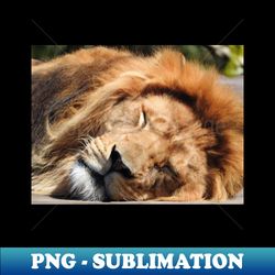 Lion - Aesthetic Sublimation Digital File - Unleash Your Creativity