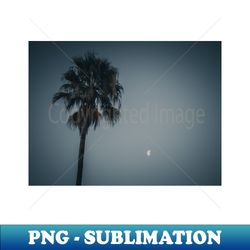 California Palm Tree Under the Moon Photo V4 - Professional Sublimation Digital Download - Perfect for Creative Projects