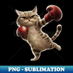 boxing cat boxer funny cat graphic - png transparent sublimation file
