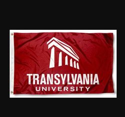 Translyvania Pioneers Flag 3x5ft- Banner Man-Cave Garage Style 1