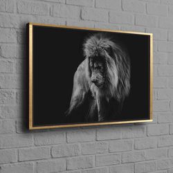 african lion canvas, lion photo canvas, portrait of a african lion art, animal canvas art, lion artwork, animalistic wal