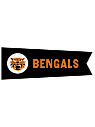 Cincinnati Bengals Cincinnati Bengals Pennant