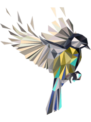 Flying Songbird Cyanistes CaeruleusBluetit Birdwhite