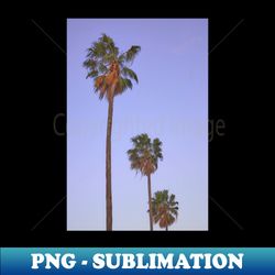 palm trees sunset sky photography design - special edition sublimation png file