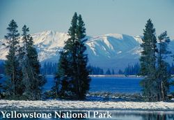 Yellowstone National Park Park Usa American Travel Poster Repro