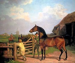 Bay Ascham A Stallion Led Through Gate To A Mare Horse Painting By Agasse Repro