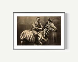 zebra prison break print, funny animal black and white wall art, vintage print, photography prints, museum quality photo