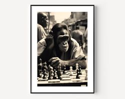 checkmate print, monkey playing chess, black and white wall art, vintage print, photography prints, museum quality photo