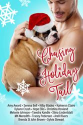 Chasing Holiday Tail: A Holiday Rom-Com Charity Anthology –  Kindle Edition