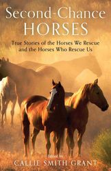 Second-Chance Horses: True Stories of the Horses We Rescue and the Horses Who Rescue Us by Callie Smith Grant