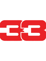 Max Verstappen 33 Formula 1 World Champion Car Racing (2)