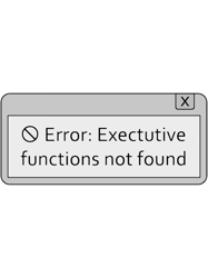 Executive Functioning Error