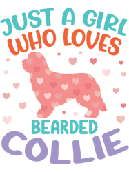 Bearded Collie Dog(1)