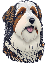 Bearded Collie Dog(5)