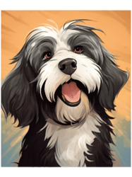 Bearded Collie Funny Dog
