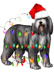 Christmas Lights Bearded Collie Dog