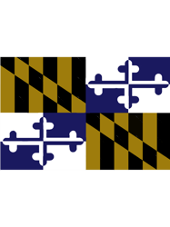 Maryland State Flag Art Design Banner Repeating Pattern Ravens Football Colors Purple GoldT