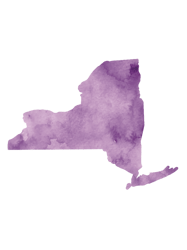 New York Purple Watercolor