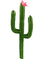 Happy Cacti Water Color