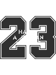 Jordan Moment 23