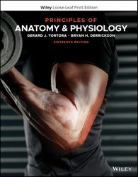 Test Bank Principles of Anatomy and Physiology 16th Edition by Gerard J. Tortora | All Chapters Included