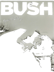 BUSH BAND Active(5)