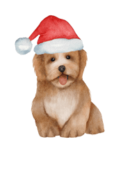 Cute And Lovely Animals With Christmas (1)
