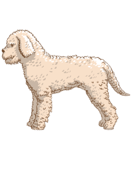 lagotto romagnolo graphic truffle dog owner gift