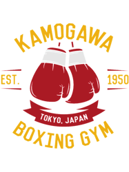 kamogawa boxing gloves vintage design