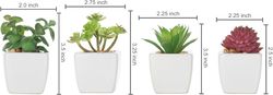 Assorted Mini Succulents Plants in Modern White Cube Shaped Ceramic Planter Pots, Set of 4 / Small Potted Colorful Faux