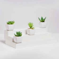 Mini Assorted Artificial Succulent Plants - Decorative Potted Desert Plants in Square White Ceramic Planters, Set of 4