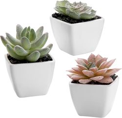 Assorted Mini Succulents Plants in Modern White Cube Shaped Ceramic Planter Pots, Set of 3 / Small Potted Colorful Faux