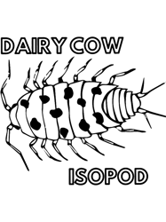Dairy Cow Isopod(3)
