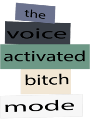 voice activated (1)