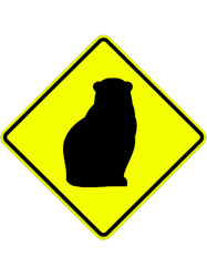 polar bear sign