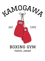 kamogawa boxing gym design