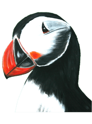 Kate Munns Puffin Painting