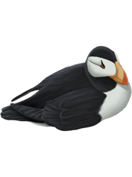 Puffin Bird Laying Down Digital Painting