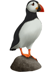 Puffin On Rock Painting