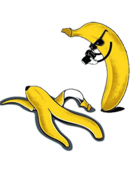 Savannah Bananas (4)