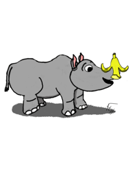 Sekou the rhinoceros