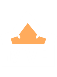 MVP (Most Valuable Player)