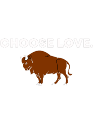 Choose Love Buffalo Bills  Stop Hate End Racism