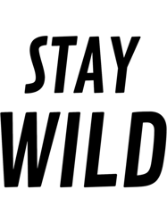 stay wild ben azelart (8)