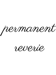 Permanent Reverie Dermot Kennedy Quote